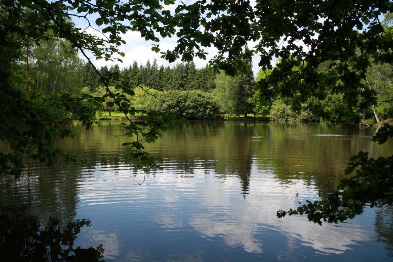Spruce Lake Sauviat-sur-Vige Kültér fotó