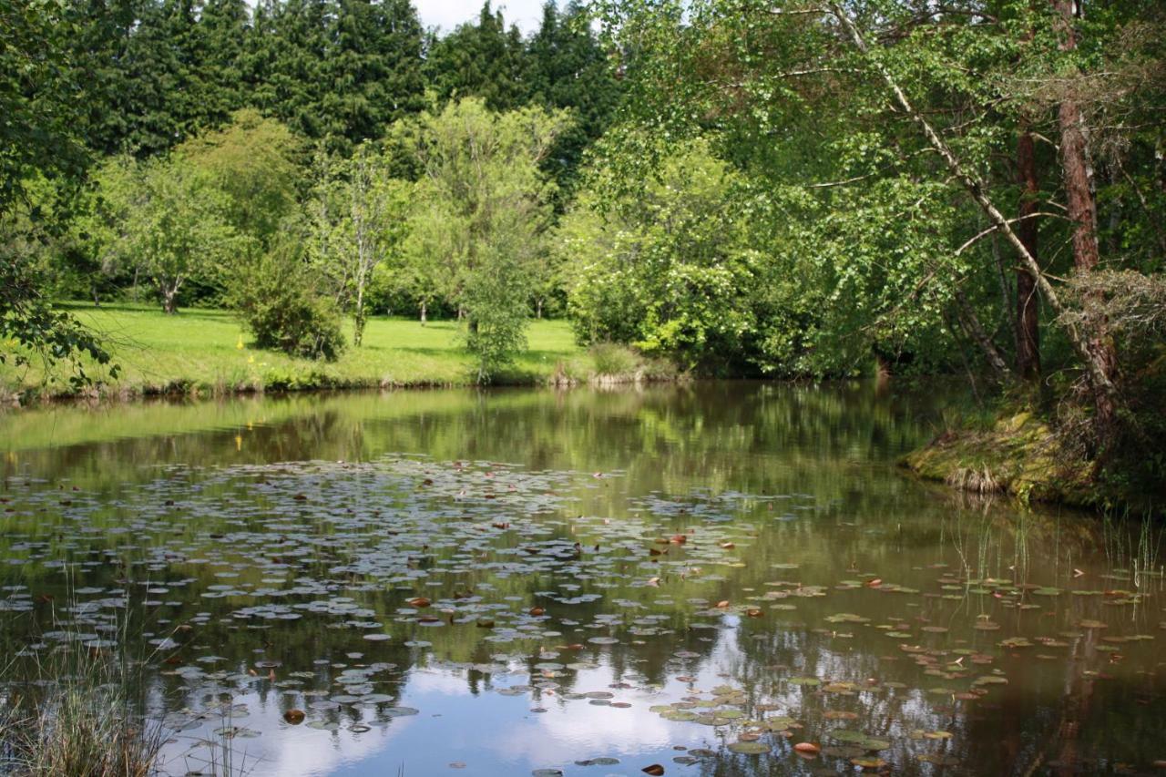 Spruce Lake Sauviat-sur-Vige Kültér fotó