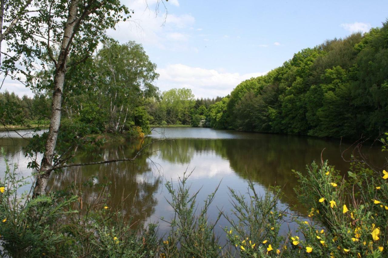 Spruce Lake Sauviat-sur-Vige Kültér fotó