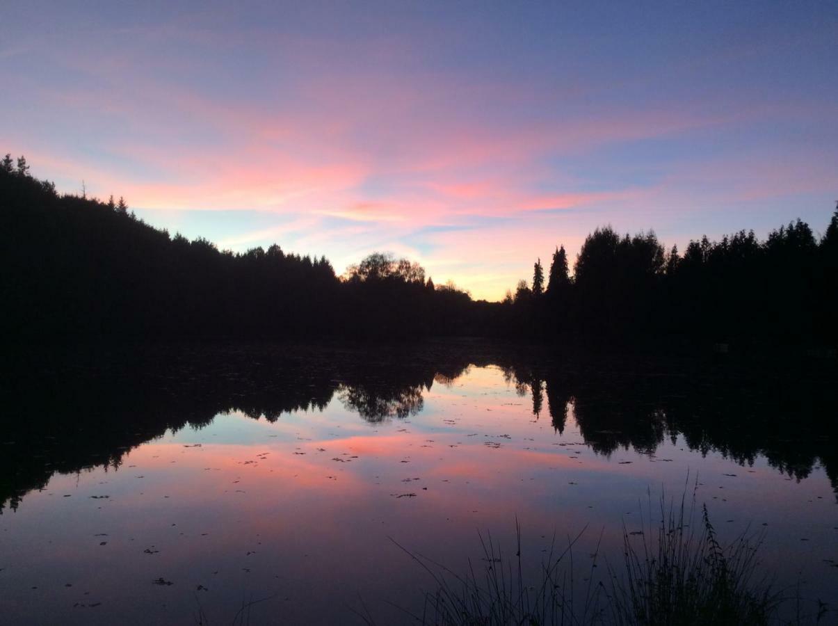Spruce Lake Sauviat-sur-Vige Kültér fotó