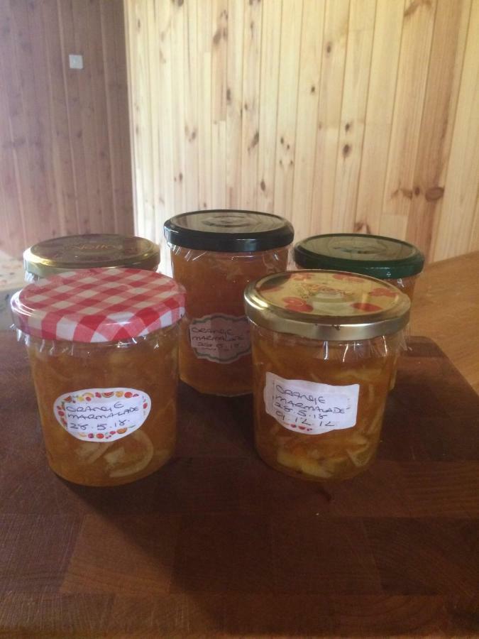 Spruce Lake Sauviat-sur-Vige Kültér fotó